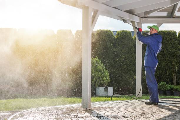 Best Graffiti Removal Services in Olean, NY