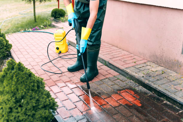 Trusted Olean, NY Pressure Washing Services Experts