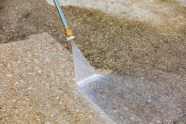 Best Vinyl Siding Pressure Washing in Olean, NY