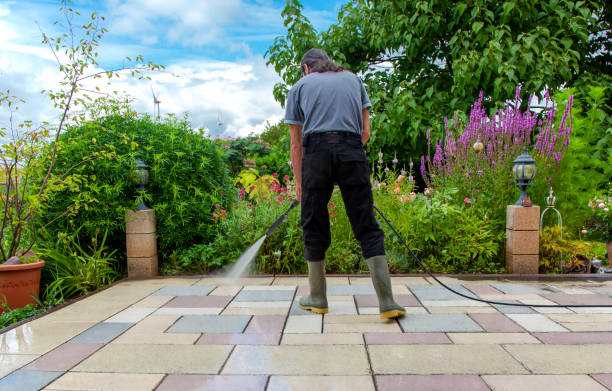 Best Residential Pressure Washing in Olean, NY
