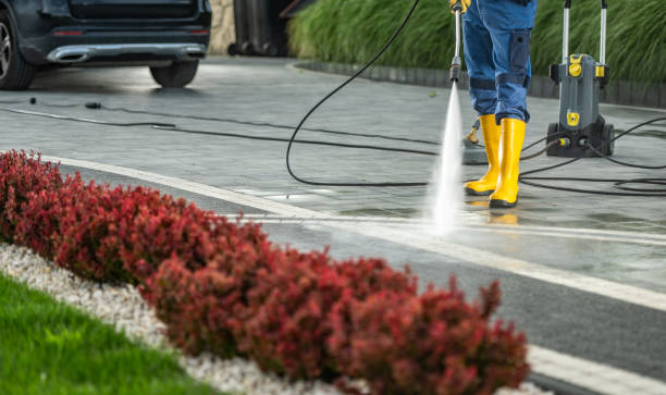 Best Gutter Cleaning and Brightening in Olean, NY